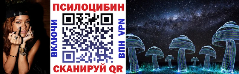 Купить закладки  Нязепетровск  Псилоцибиновые грибы Psilocybine cubensis 